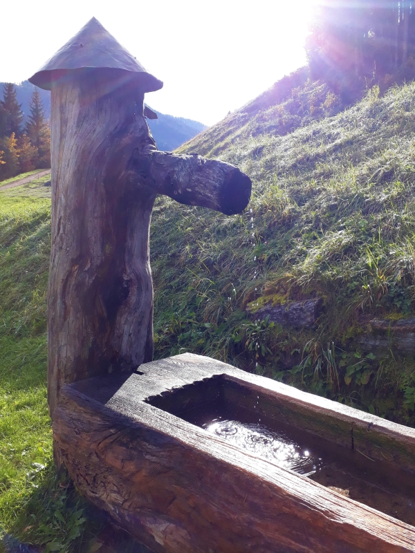 BERGDORF PRECHTLGUT: Chaletzauber in Wagrain brunnen - BERGDORF PRECHTLGUT: Chaletzauber in Wagrain